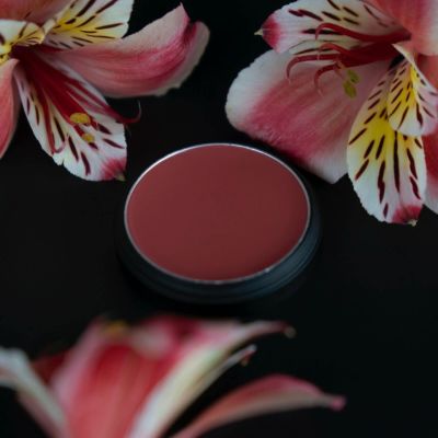 Frisson Frais kaufen – Moschusrose – AGEL ROSEN